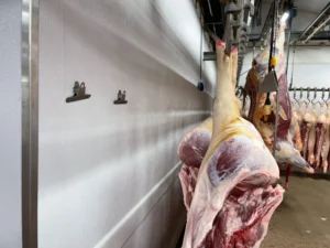 Witte stootranden gemonteerd in slagerij